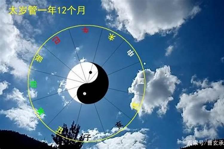 生肖羊1991年2025年运势如何 生肖羊1991年2025年全年运势