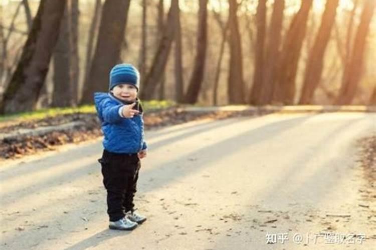 楚辞名句取名李姓男孩单字名