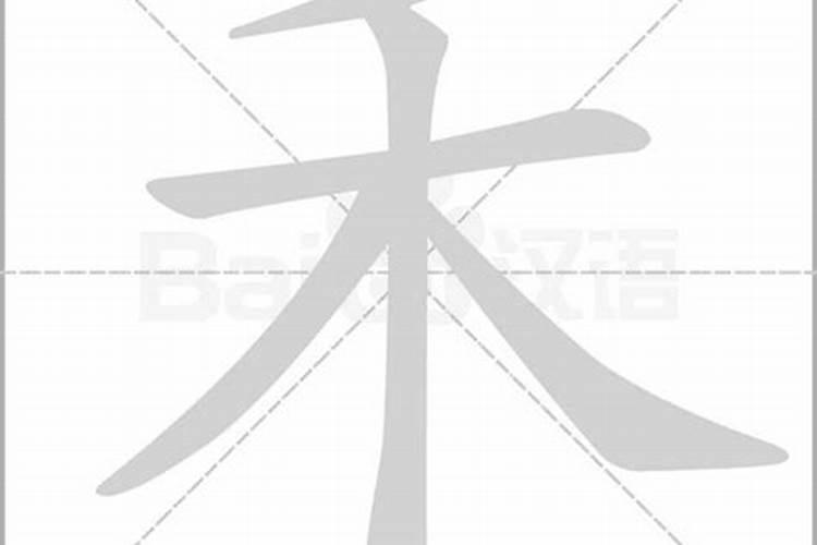 野生太岁肉灵芝的功效