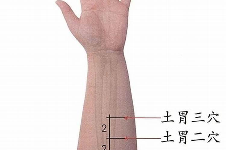直肠点滴疗法与平行针药线植入技术作者简介