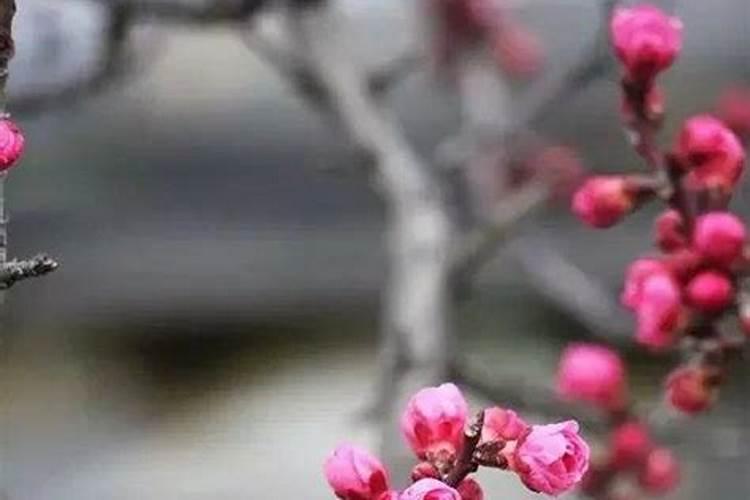 八字婚姻不好可以破解吗？