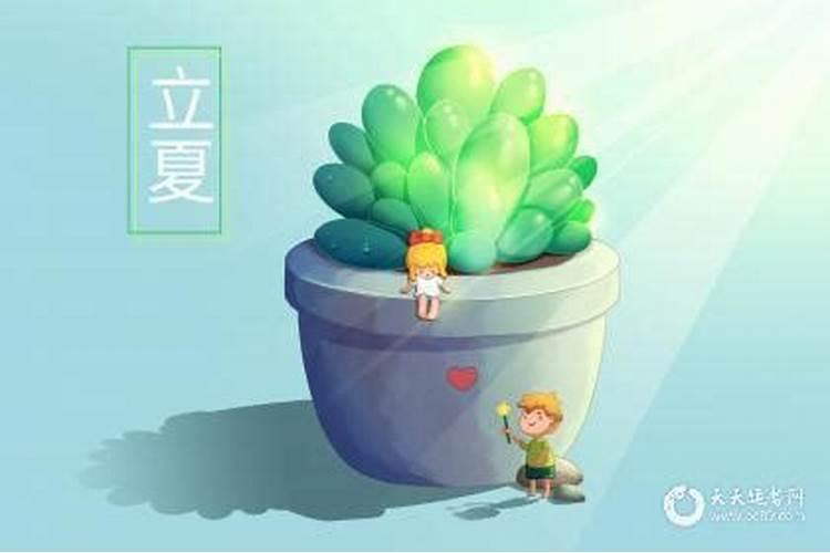 通根是什么意思