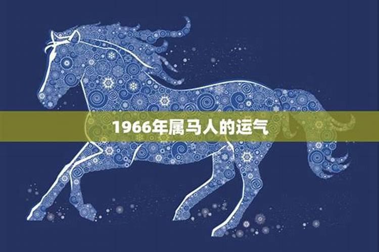 1966年属马人的全年运势