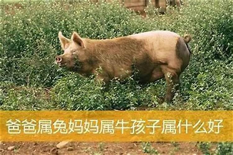 文昌符的作用及使用方法