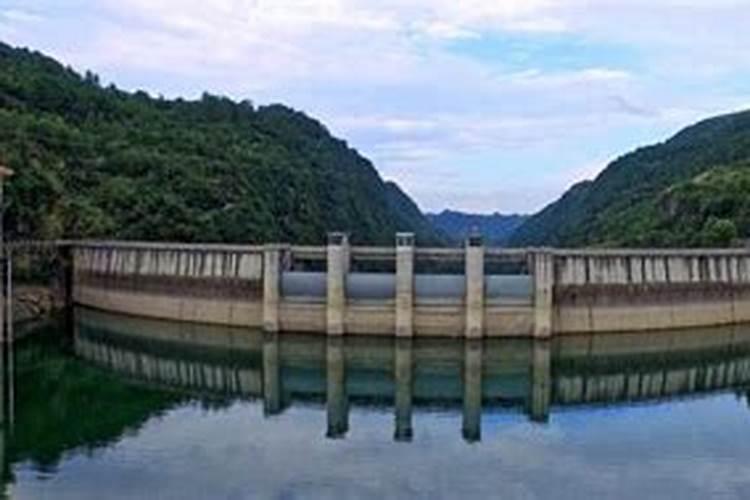梦见手机掉水里了是什么预兆
