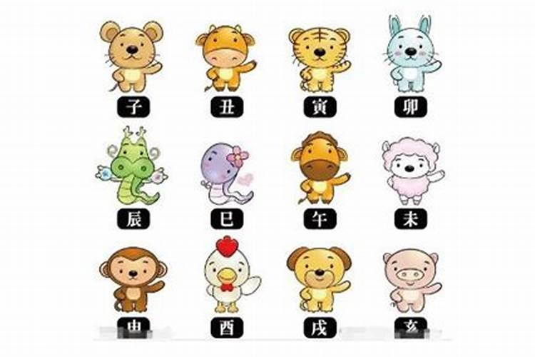 羊前狗后是什么生肖？