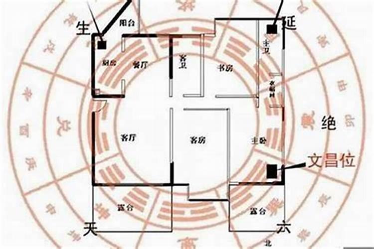 办公室风水如何摆放能招贵人
