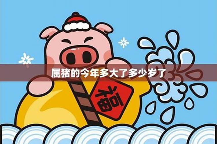 属猪2025年每月运势