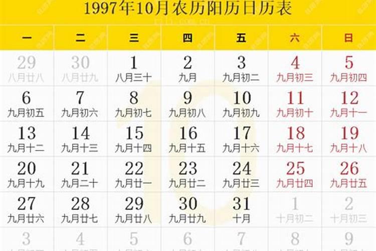 2023除夕之夜的作文600字 最新版除夕之夜作文范文