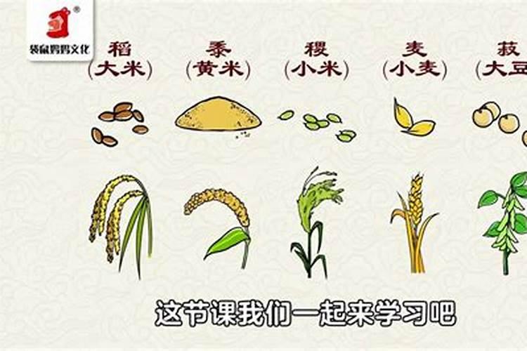 冬至有什么活动