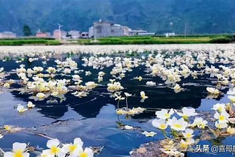 梦到水鬼意味着什么 梦到水鬼代表什么意思