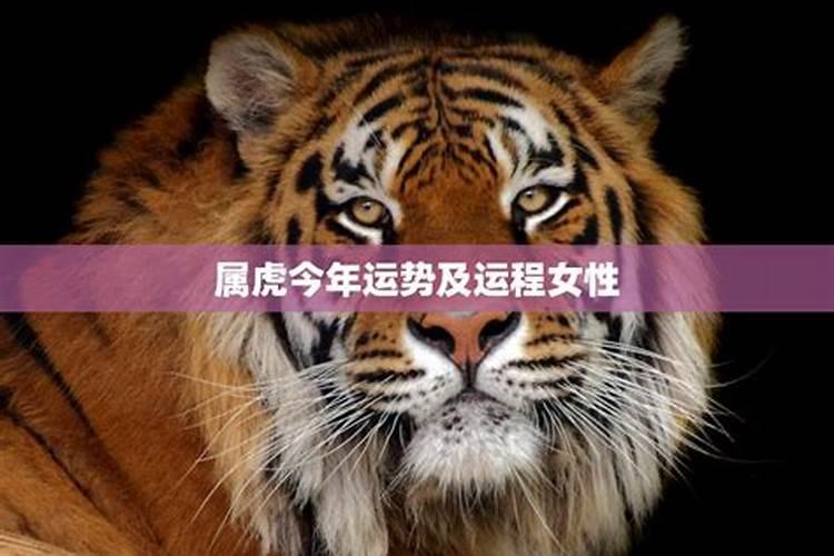 生辰八字是在哪个朝代推出的？算命先生是根据什么来推测的？