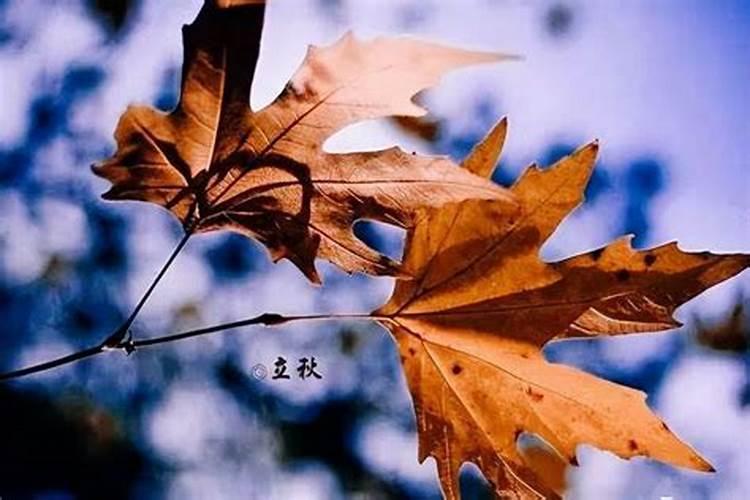 梦见自己把人杀死了是什么兆头
