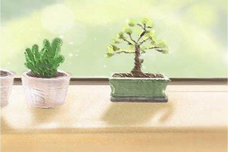 重阳节是为了纪念谁？