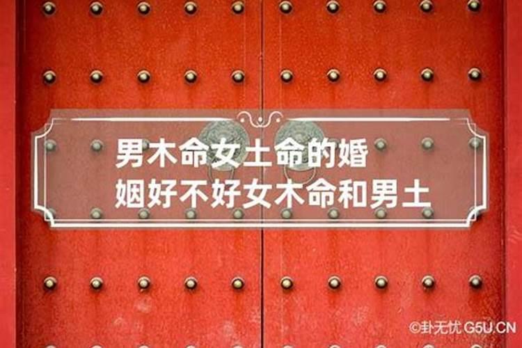 90年的马是什么命