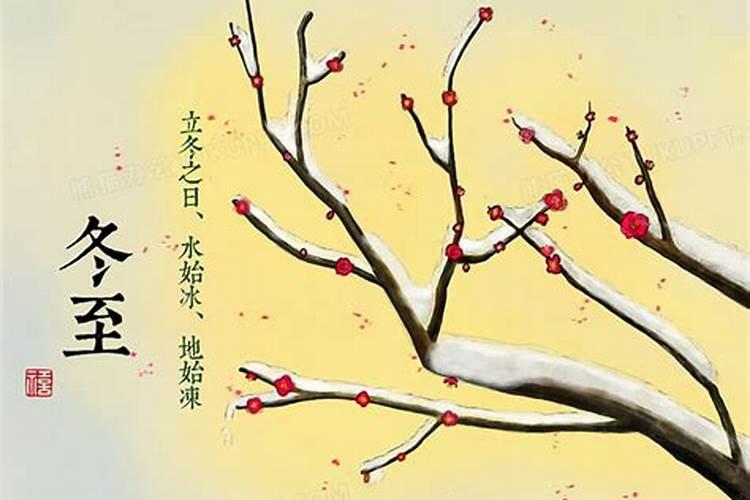 八字不合孤苦无依打一生肖？