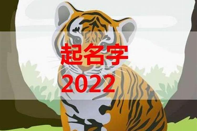 83年的猪女2025年运势