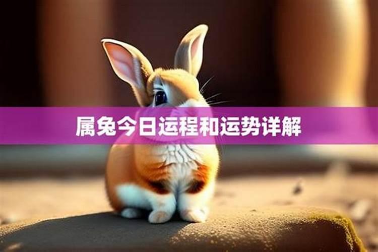 1975属兔女在2025年的每月运势