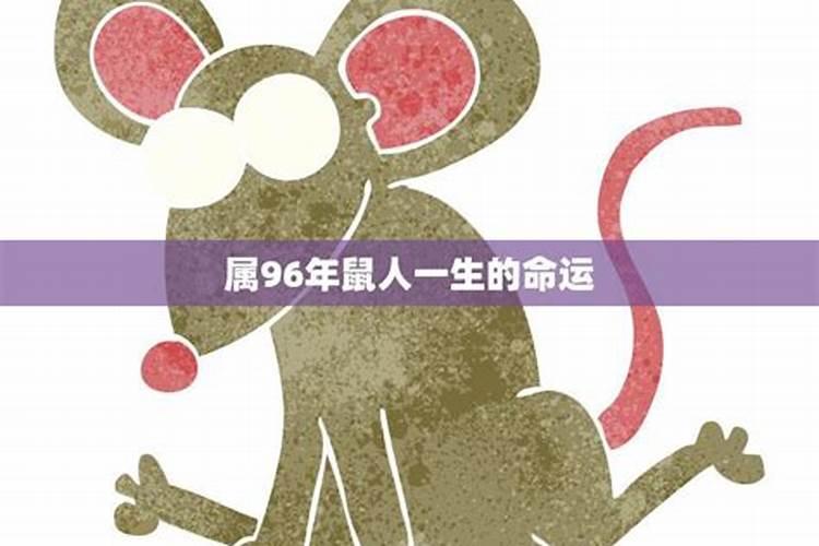 1996属鼠的运势和财运,1996年属鼠人适合发展的方位