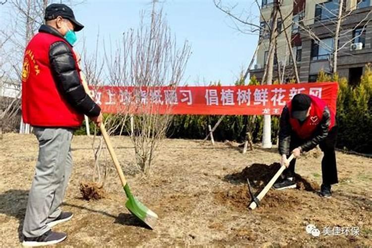 清明节为什么要植树呢