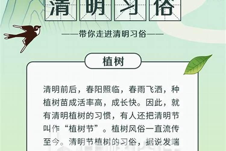 为什么清明节要文明祭祀清明节如何文明祭祀