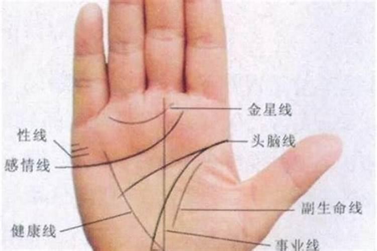 梦见被豹子咬右手的预兆