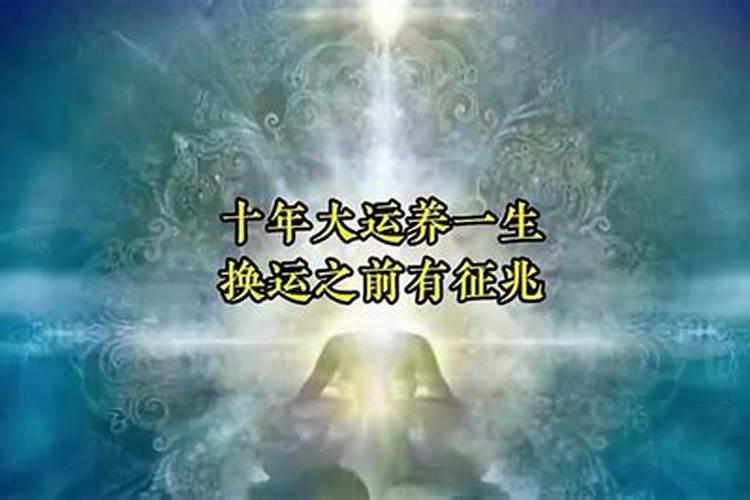 大运养是什么意思