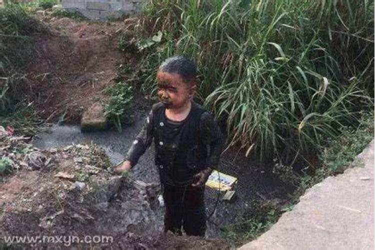 民间都说男不属鸡,女不属羊是为什么,