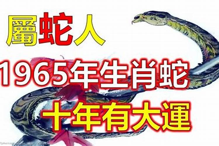 65年蛇2025年每月运势