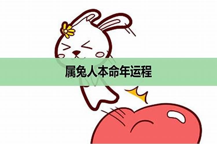 鼠兔年什么运势最旺