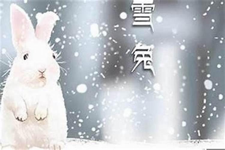 鼠年兔人运势及运程,兔与鼠的婚姻是否相配