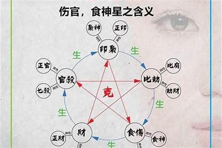 八字食神什么意思