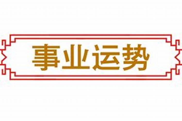 七星女是什么意思
