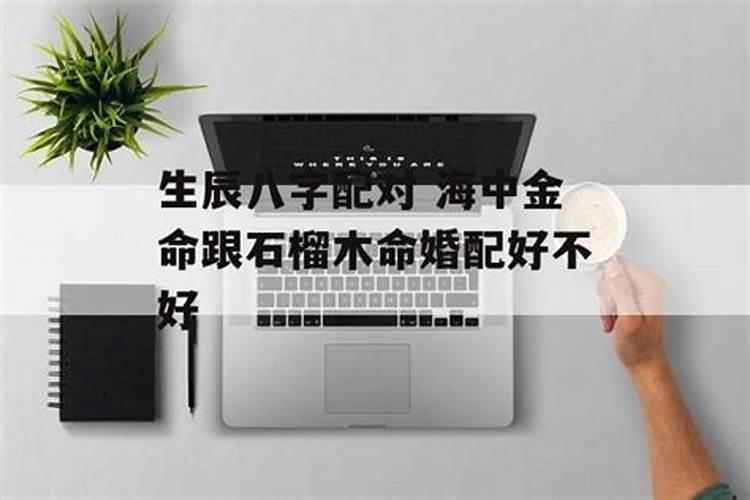 丙寅日己亥时是什么意思