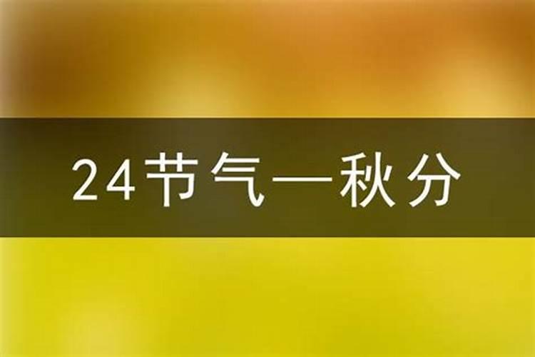 属马的遇到鼠年佩戴什么能化太岁