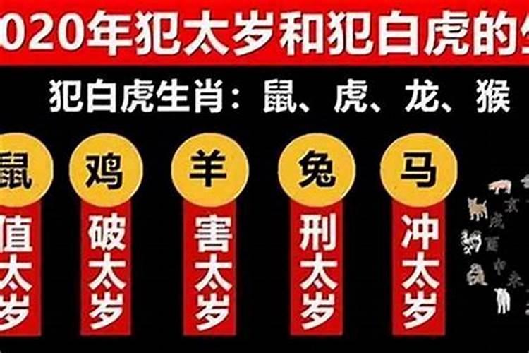 属马人2025年的运气和财运