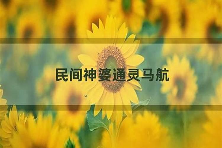 1984属鼠2025每月财运