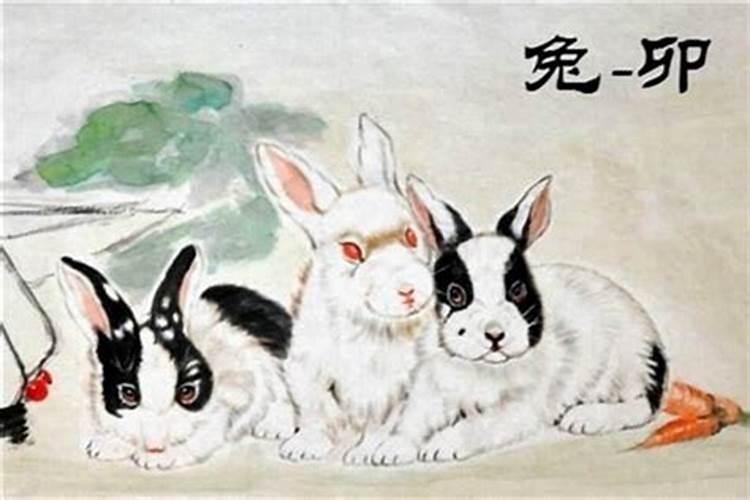 87年属兔后半生的命运晚年会越来越好？