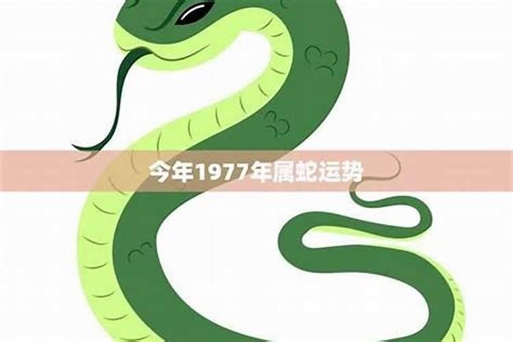 立冬出生的蛇好不好 一鸣惊人生活富足