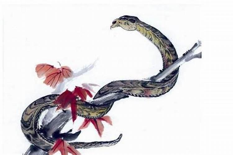 正月初五能游泳吗