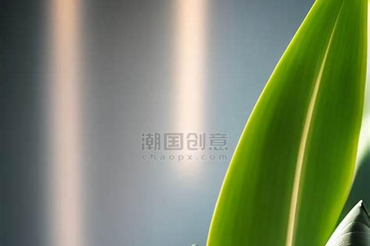 端午节的恶日禁忌说