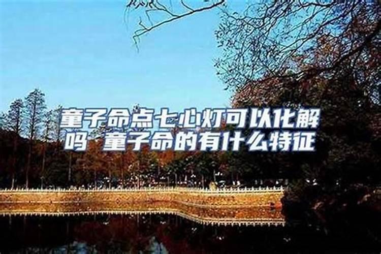 属狗的后半生命运很惨吗