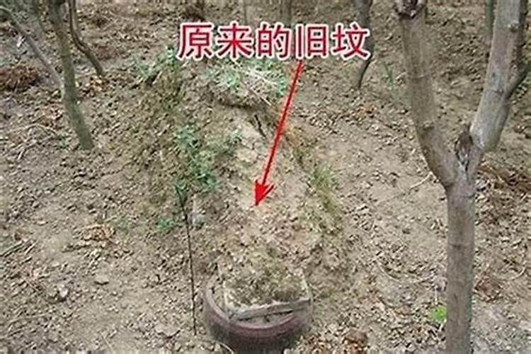 农历3月3日出生的人很可怕吗