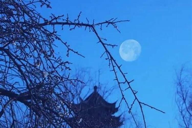 南方供奉的财神爷是谁