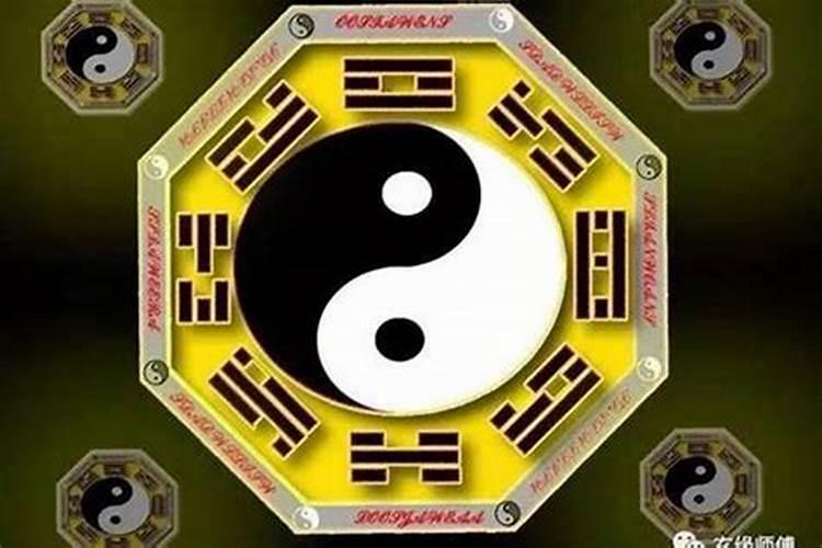 85年属牛的命运