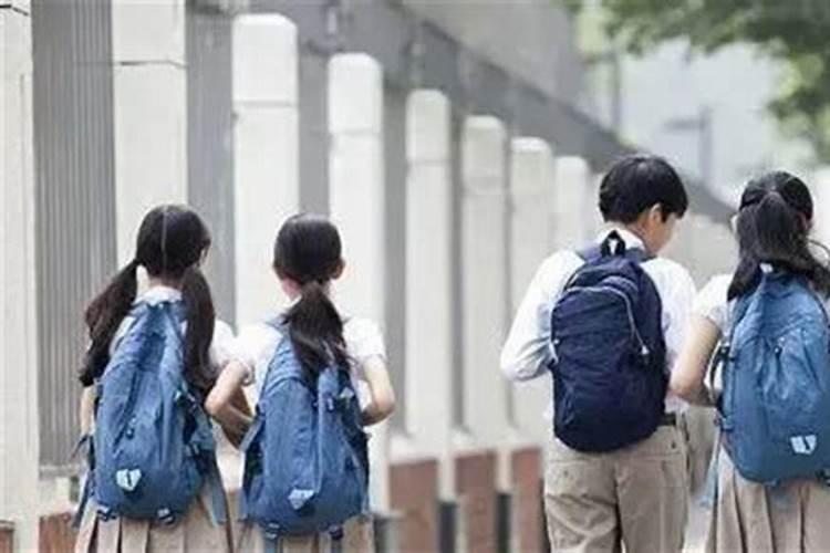 给孩子书桌上放了5根转运竹 富贵竹养5根代表什么