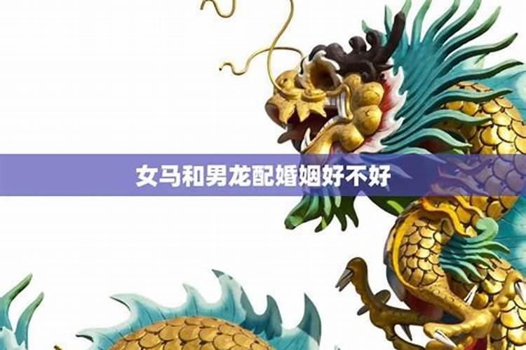 两个2000年龙婚姻合不合,2000年属龙和谁配婚