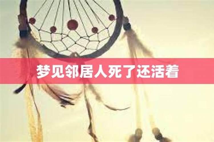 1980年的猴2025年的运势怎么样