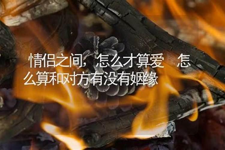 梦到小米撒一地什么意思 梦见小米撒一地意味着什么