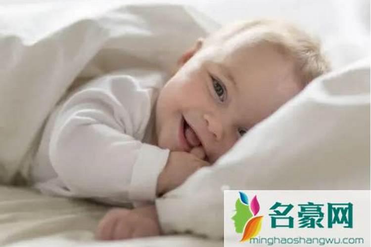 冬至前后吃什么滋补